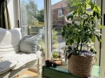 Images for The Cedars, Barlby