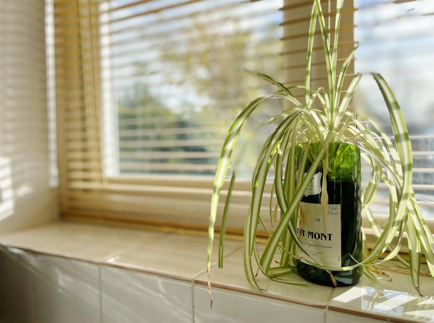 Images for Sycamore Road, Barlby, Selby